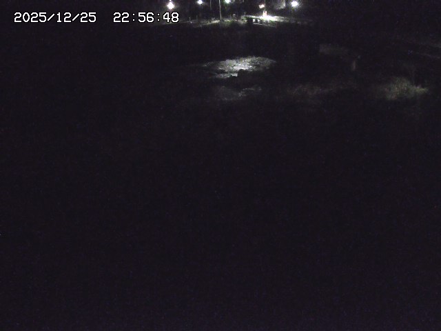 取得できませんでした