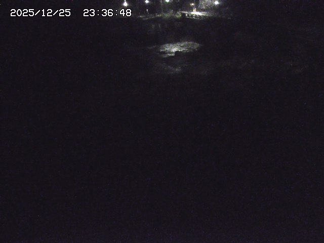 取得できませんでした