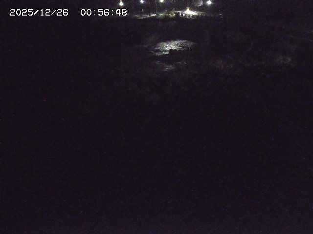 取得できませんでした