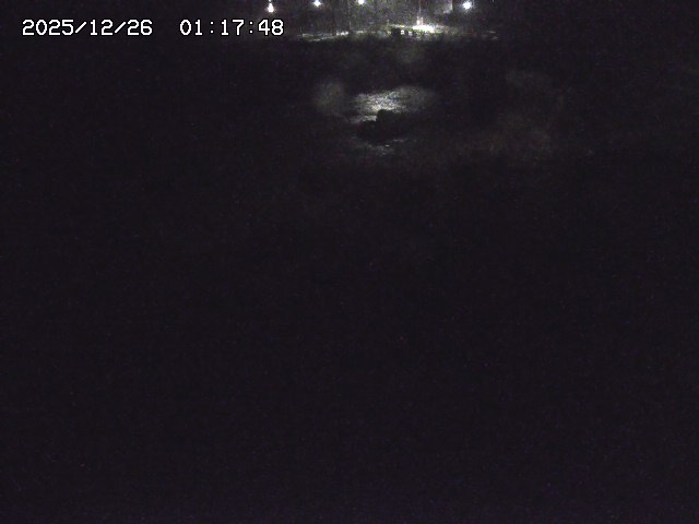 取得できませんでした