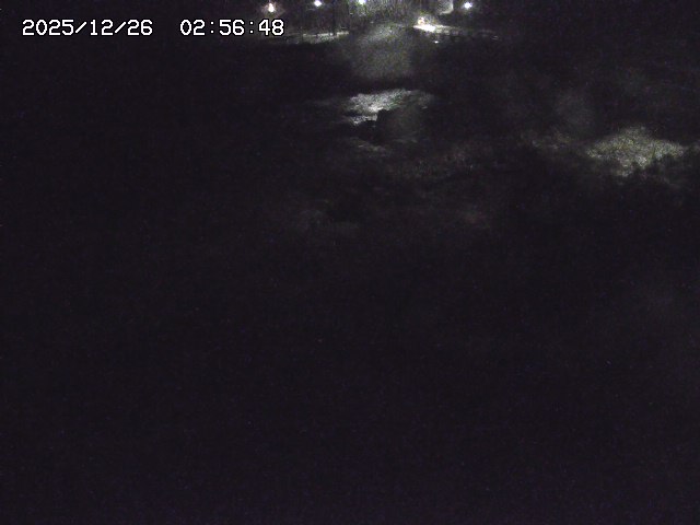 取得できませんでした