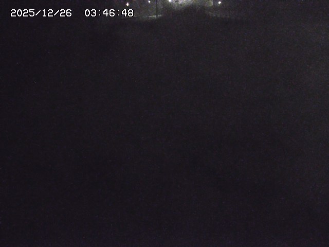 取得できませんでした