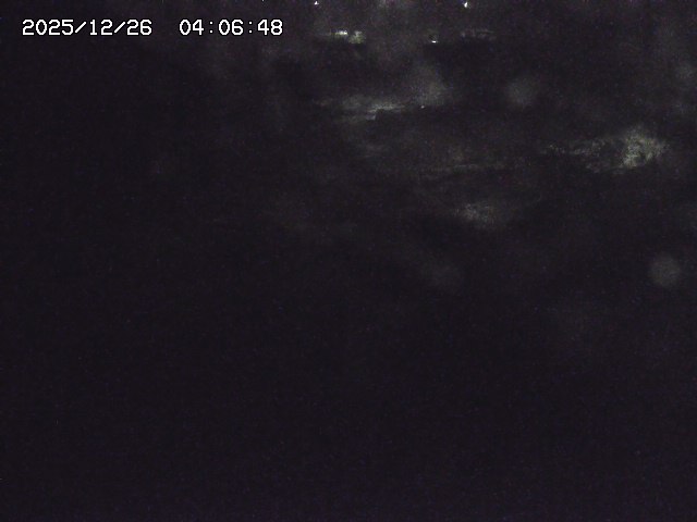 取得できませんでした