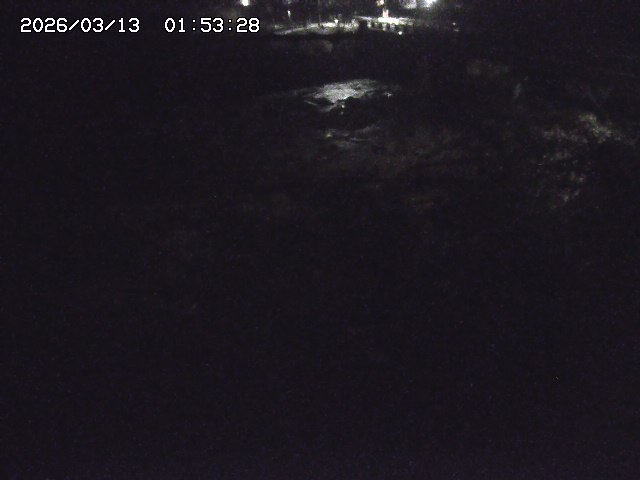 取得できませんでした