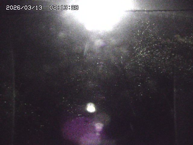 取得できませんでした