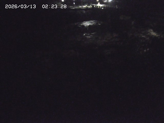 取得できませんでした