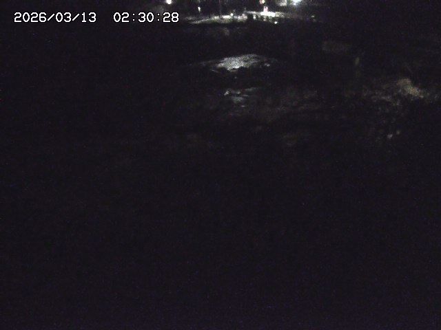 取得できませんでした