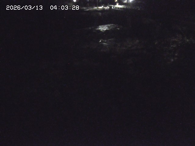 取得できませんでした