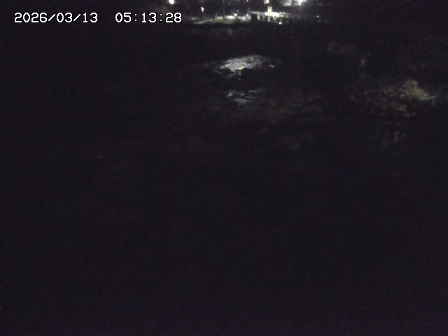 取得できませんでした