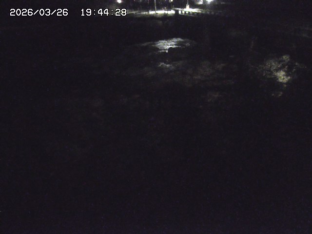 取得できませんでした