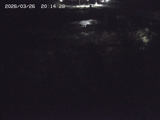 取得できませんでした