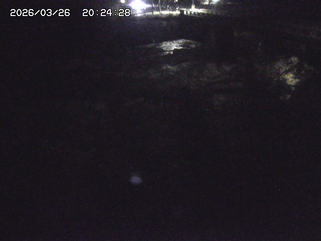 取得できませんでした