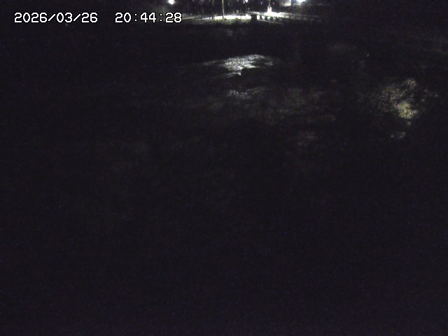 取得できませんでした