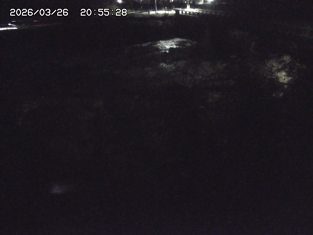 取得できませんでした