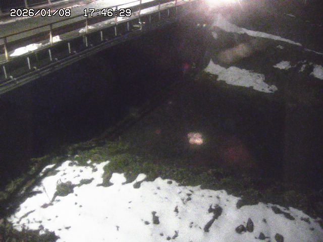 取得できませんでした