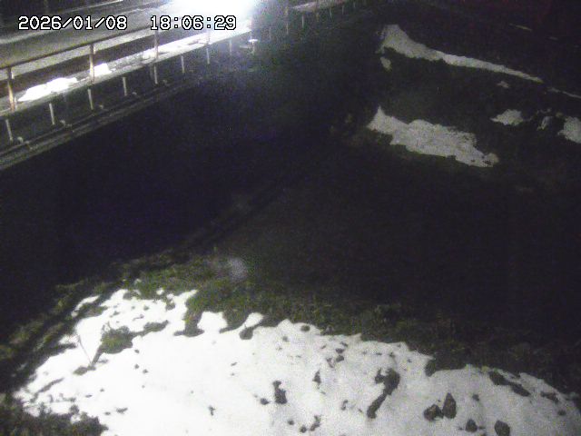 取得できませんでした