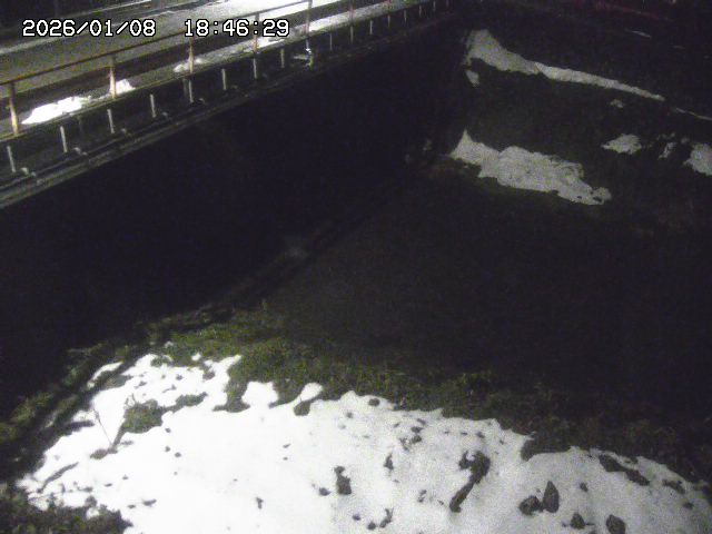 取得できませんでした