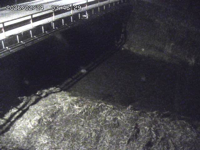 取得できませんでした