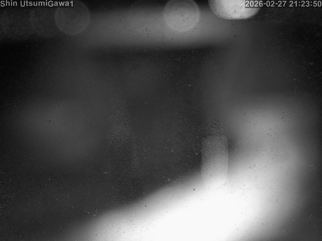 取得できませんでした