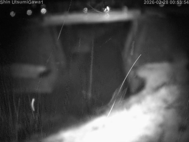 取得できませんでした