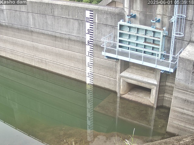 取得できませんでした
