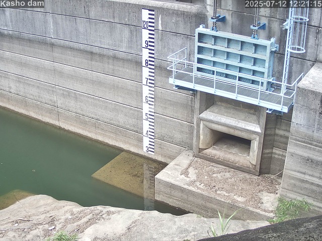 取得できませんでした