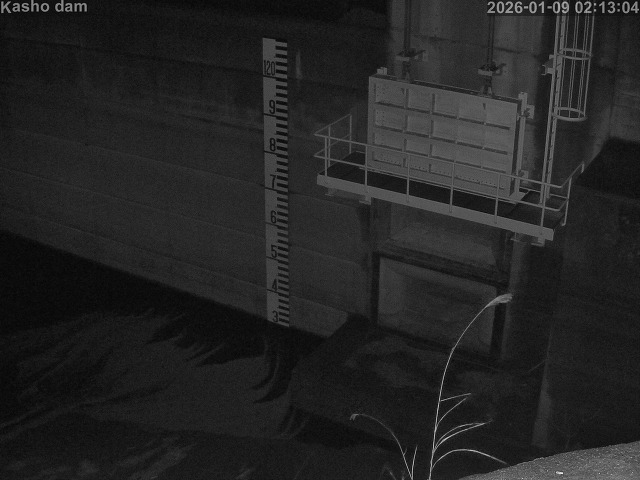 取得できませんでした