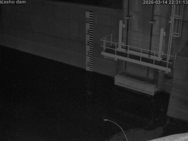 取得できませんでした