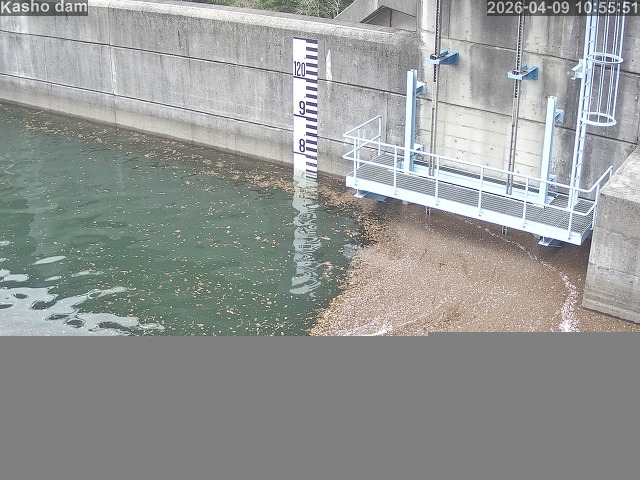 取得できませんでした