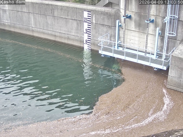 取得できませんでした