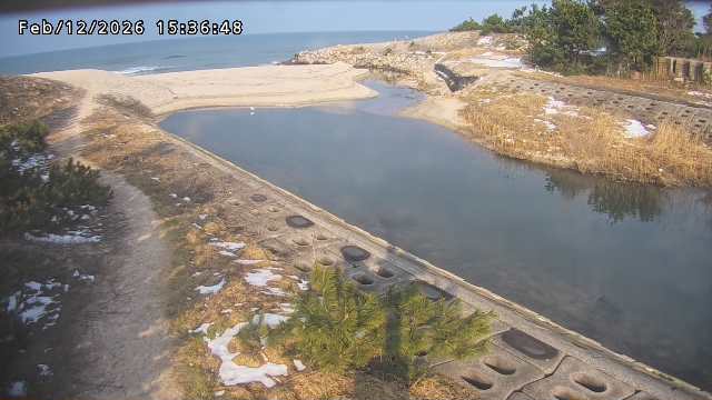 取得できませんでした