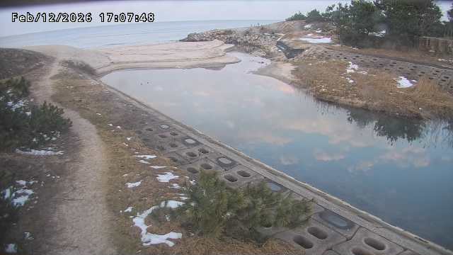 取得できませんでした